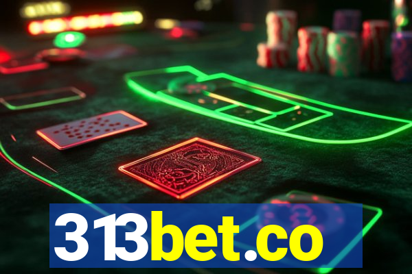 313bet.co