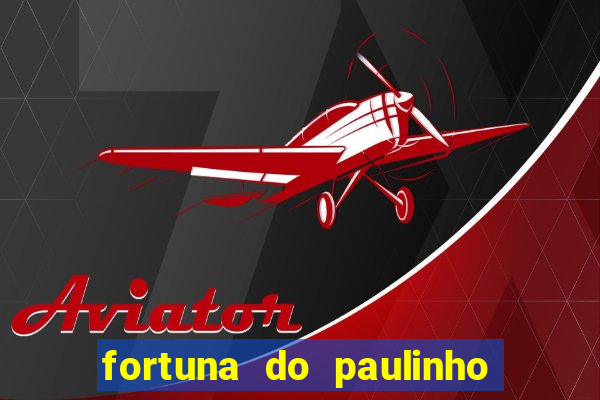 fortuna do paulinho do roupa nova