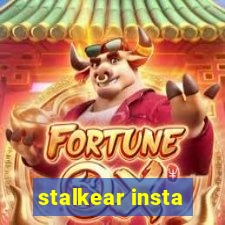 stalkear insta