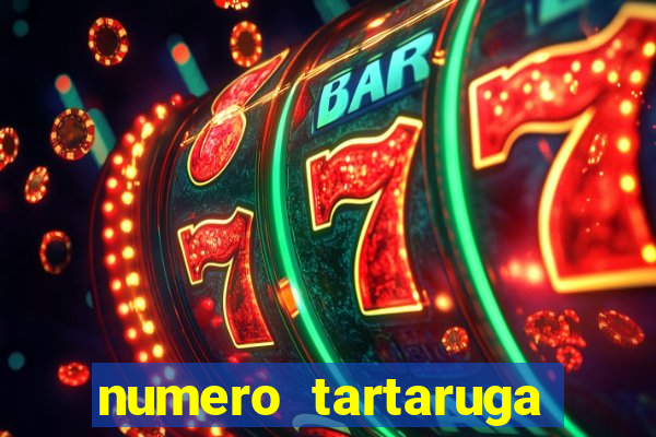 numero tartaruga jogo do bicho