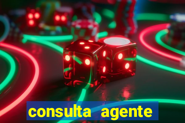 consulta agente autuador sp