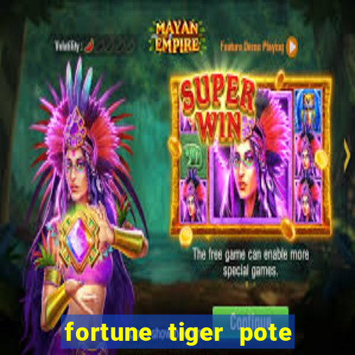 fortune tiger pote de ouro completo