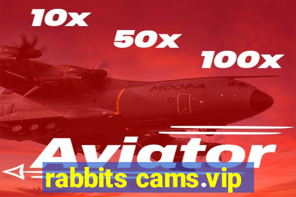 rabbits cams.vip