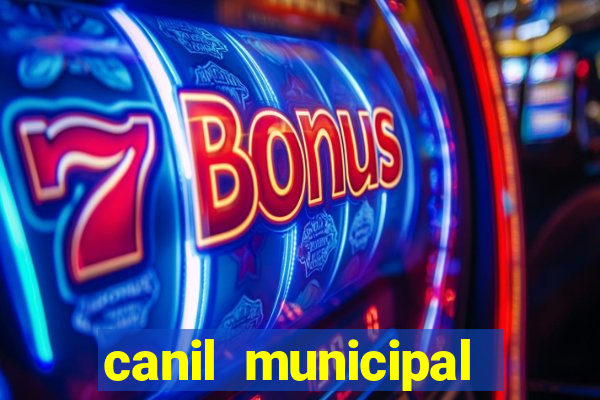 canil municipal porto alegre