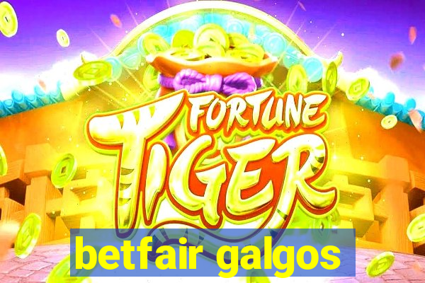 betfair galgos