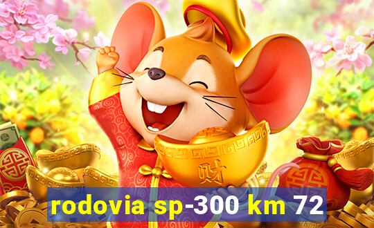 rodovia sp-300 km 72