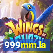 999mm.la