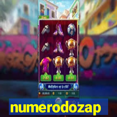 numerodozap