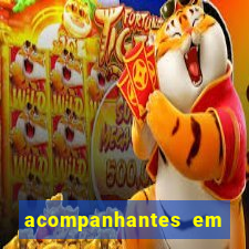 acompanhantes em nova mutum