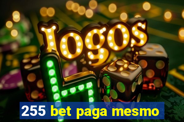 255 bet paga mesmo