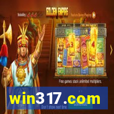 win317.com