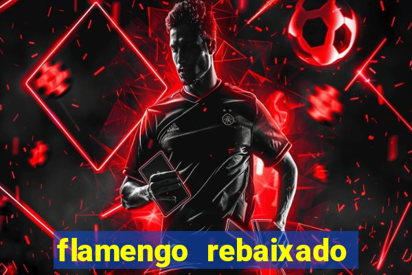 flamengo rebaixado no carioca