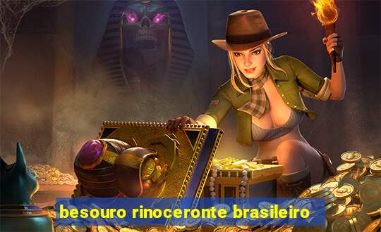 besouro rinoceronte brasileiro