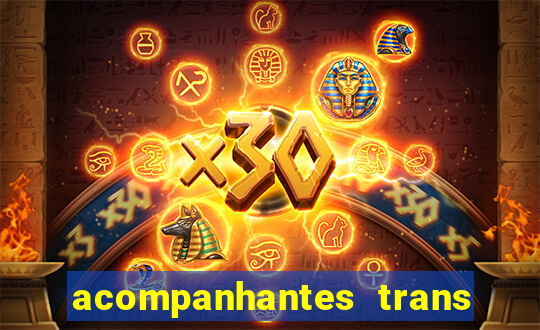 acompanhantes trans baixada fluminense