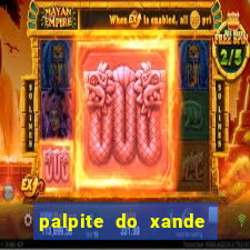 palpite do xande de hoje