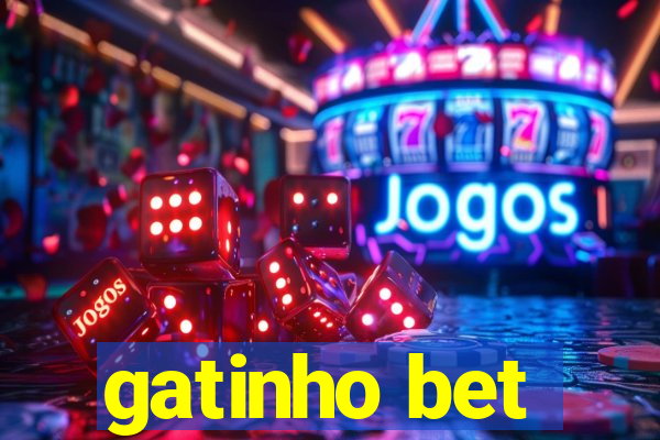gatinho bet