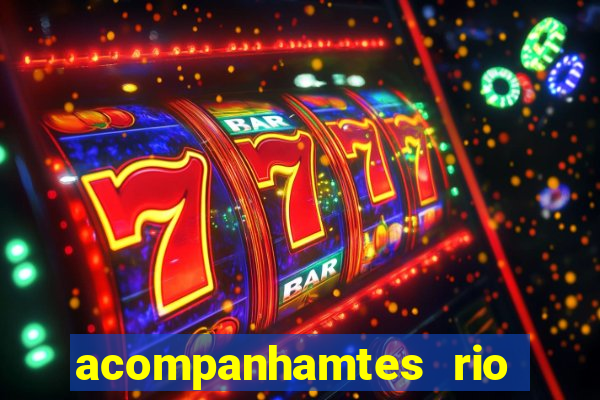 acompanhamtes rio de janeiro