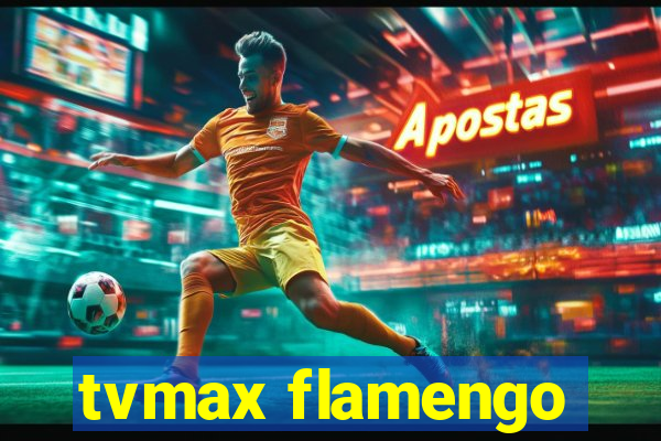 tvmax flamengo